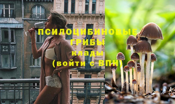 альфа пвп Нязепетровск