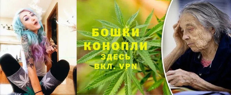 Бошки Шишки THC 21%  Ковылкино 